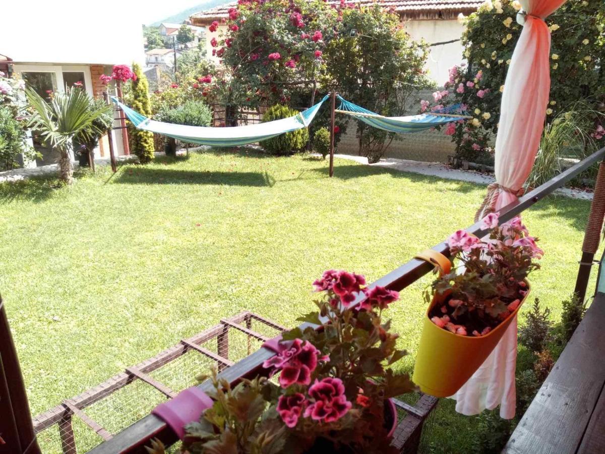فندق Yard House Trpejca أوهغيد المظهر الخارجي الصورة