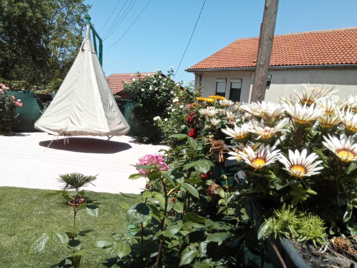 فندق Yard House Trpejca أوهغيد المظهر الخارجي الصورة
